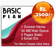 website basic plan, website company in india, web designing