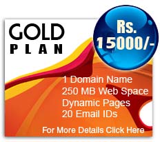website gold plan, website company in india, web designing