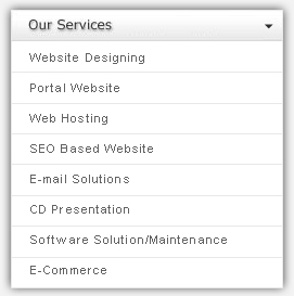 website designing, portal website, seo, software solution, best website company in india