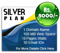 website silver plan, website company in india, website designing